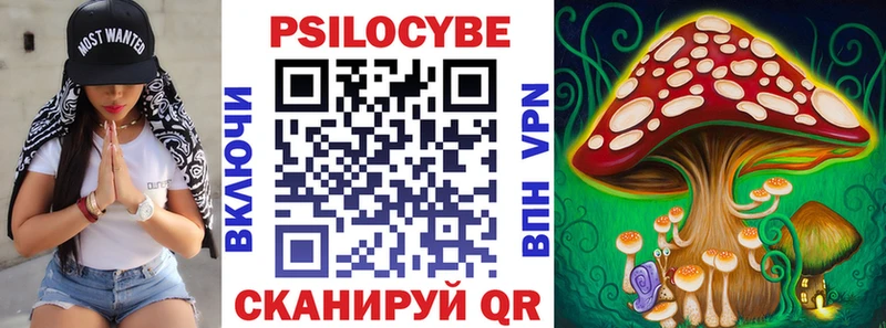 Псилоцибиновые грибы Cubensis  Липецк 